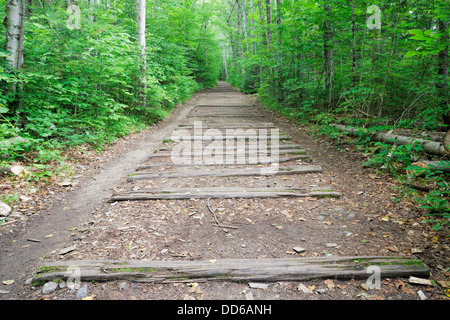 Traversine ferroviarie dal vecchio ramo orientale & Lincoln ferrovia lungo Lincoln Woods Trail a Lincoln, New Hampshire USA. Foto Stock