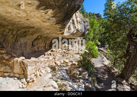 Sinagua cliff dwellings a Walnut Canyon National Monument, vicino a Flagstaff, in Arizona, Stati Uniti d'America Foto Stock