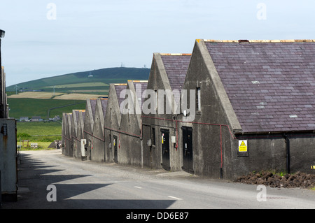 Depositi presso l'Highland Park Distillery, Kirkwall, Orkney Foto Stock