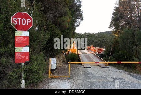 La Chiatta Fatman che attraversa il fiume Pieman a Corinna nel telecomando Tarkine deserto occidentale della Tasmania Foto Stock