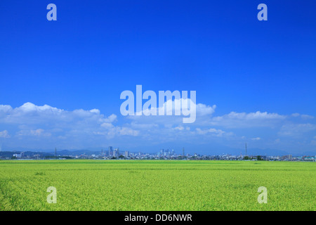 Campo di riso e Sendai cityscape, Prefettura di Miyagi Foto Stock