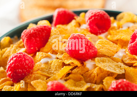 Cornflake sani cereali per la prima colazione con frutti di bosco Foto Stock