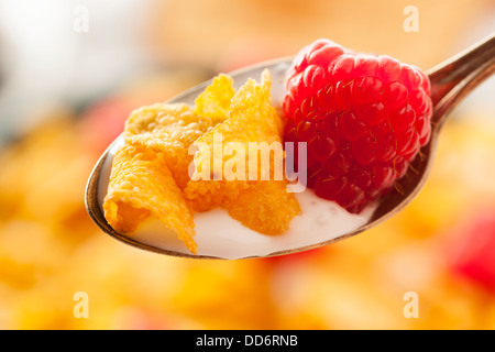 Cornflake sani cereali per la prima colazione con frutti di bosco Foto Stock