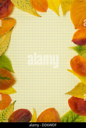Scuola notebook e la cornice di foglie di autunno Foto Stock