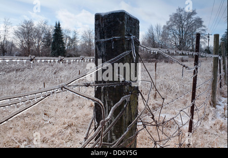 Un vecchio recinto e un paesaggio invernale è coperto di ghiaccio dopo un sever tempesta di neve vicino a Londra, Ontario, Canada. Foto Stock