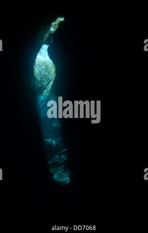 Raggi del sole nell'acqua del cenote messicano "Pit' con alberi visti attraverso la superficie dell'acqua. Foto Stock