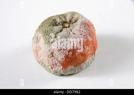 Il vecchio marcio arancione Foto Stock