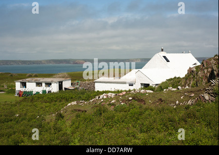 La fattoria, Skokholm Island, South Pembrokeshire, Wales, Regno Unito Foto Stock