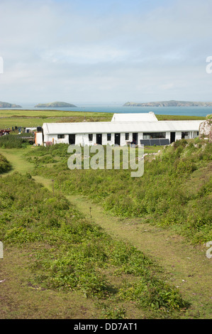 Il blocco stabile, Skokholm Island, South Pembrokeshire, Wales, Regno Unito Foto Stock