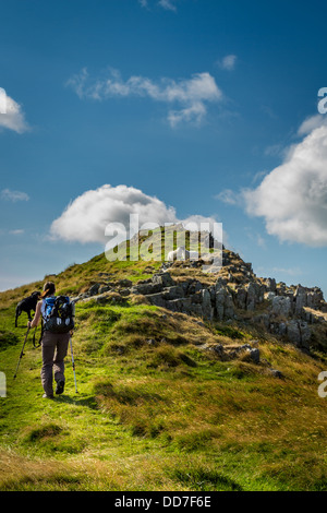 Escursionista femmina ascendente balze lungo verso Hedgehope Hill nel Cheviots nero con un Labrador cane fuori piombo e pecore sulla collina Foto Stock