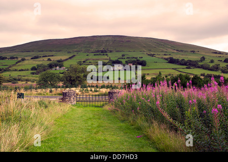 Knocklayde montagna da Breen boschi Glenshesk County Antrim Irlanda del Nord Foto Stock