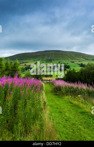 Knocklayde montagna da Breen boschi Glenshesk County Antrim Irlanda del Nord Foto Stock