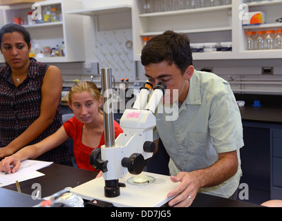 Ph.D insegnamento assistente Alex deLencastre insegna biologia evolutiva lab in Yale scuola estiva. Foto Stock