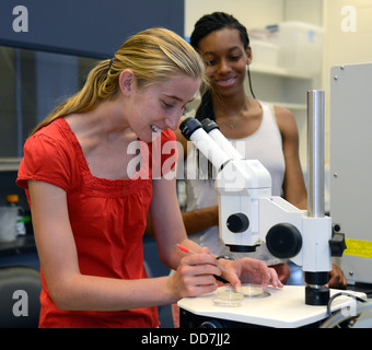 Biologia dello sviluppo laboratorio di Yale scuola estiva. Gli studenti guarda al C. elegans mutanti worm attraverso microscopio. Foto Stock