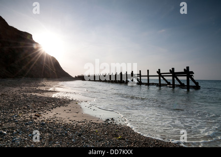 Legname mare difese a West Runton, North Norfolk, Inghilterra Foto Stock
