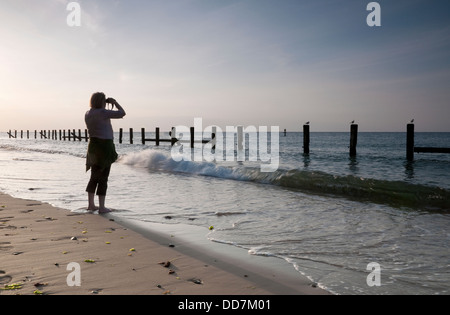 Legname mare difese a West Runton, North Norfolk, Inghilterra Foto Stock