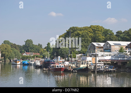 Il cantiere di anguilla pie isola sul fiume Tamigi a Twickenham, middlesex, Inghilterra Foto Stock