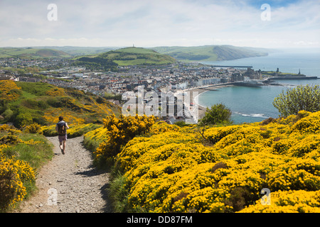 Regno Unito, Galles Ceredigion, Aberystwyth, walker godendo di vista in elevazione del lungomare dal Constitution Hill Foto Stock