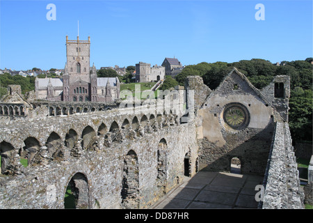 St David's Cathedral da St Davids Palazzo del Vescovo grande Hall, St Davids, Pembrokeshire, Wales, Regno Unito, Gran Bretagna, Europa Foto Stock