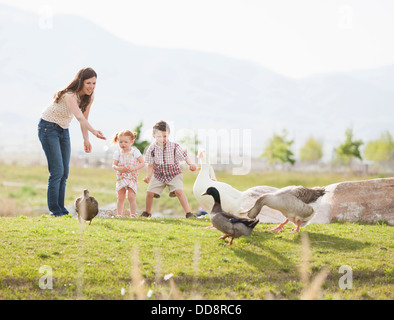 Caucasian madre e bambini alimentazione di anatre e oche Foto Stock
