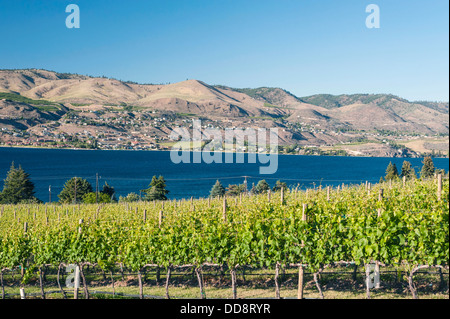 Stati Uniti d'America, Washington, il lago Chelan Tsillan la cantina Vigna fronti lago Chelan facce e la cascata del Nord la gamma. Foto Stock