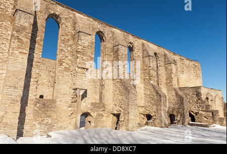 Antico rovinato S. Brigitta convento. Pirita regione, Tallinn, Estonia Foto Stock