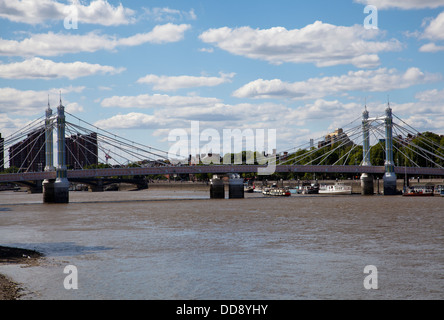 Albert Bridge visto dal parco di Battersea a Londra REGNO UNITO Foto Stock