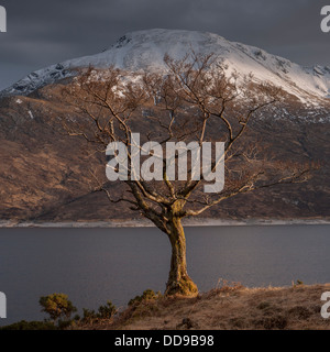 Vista sul Loch Quoich al tramonto verso la montagna Gairich. A nord-ovest di Highlands, Scotland, Regno Unito Foto Stock