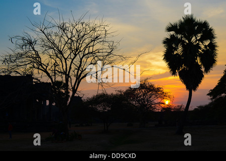 Tramonto in Angkor Wat, Siem Reap, Cambogia Foto Stock