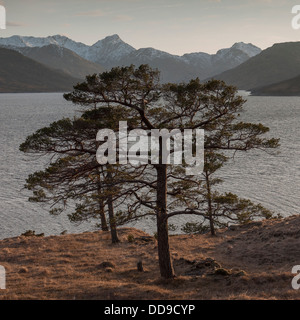 Vista verso sud ovest per Loch Quoich al tramonto con il vertice appuntito di Sgurr na Ciche in distanza, Highlands, Scotland, Regno Unito Foto Stock