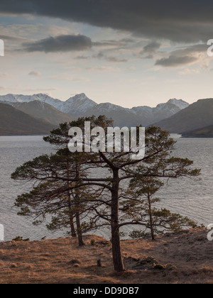 Vista verso sud ovest per Loch Quoich al tramonto con il vertice appuntito di Sgurr na Ciche in distanza, Highlands, Scotland, Regno Unito Foto Stock