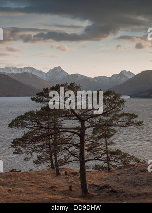 Vista verso sud ovest per Loch Quoich al tramonto con il vertice appuntito di Sgurr na Ciche in distanza, Highlands, Scotland, Regno Unito Foto Stock