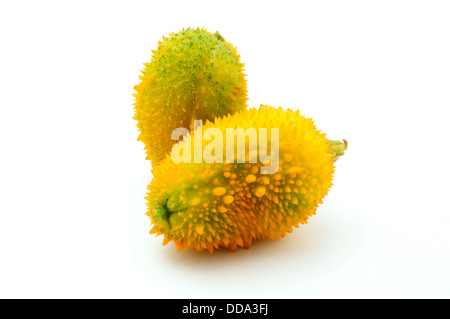 Gourd spinoso su sfondo bianco Foto Stock