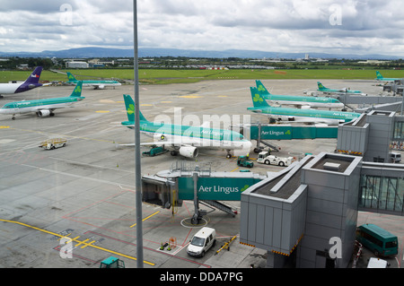 Aer Lingus aeromobili parcheggiati su asfalto presso l'aeroporto di Dublino, terminale 2, l'Irlanda. Foto Stock