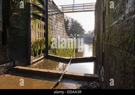 Vista dal fondo drenato camera di bloccaggio attraverso i cancelli aperti a canal - Aumento di cinque Serrature chiuse per lavori di ristrutturazione, Leeds Liverpool Canal, Bingley, England, Regno Unito Foto Stock