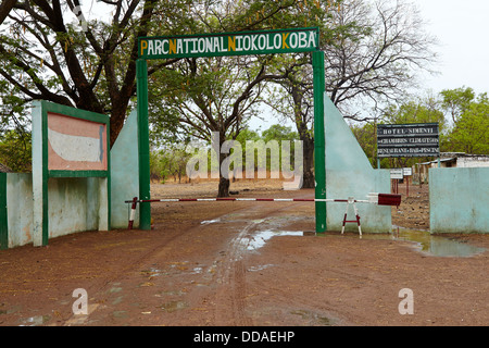 Niokolo Koba Parco Nazionale, Senegal Africa Foto Stock