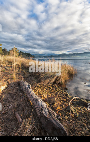 Bella scena Tasmania - Australia Foto Stock
