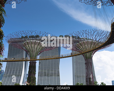 dh Supertree Grove GARDENS BY THE BAY SINGAPORE Supertrees Vertical Gardens Skyway walkway Marina Sands Bay Hotel grattacielo Foto Stock