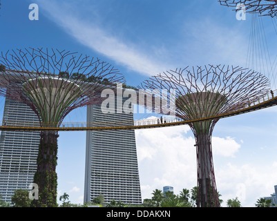 Dh Supertree Grove passerella giardini dalla baia SINGAPORE Supertrees giardini verticali skyway Marina Bay Sands Hotel sky garden Foto Stock