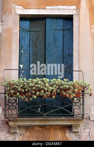 Finestra veneziana Foto Stock