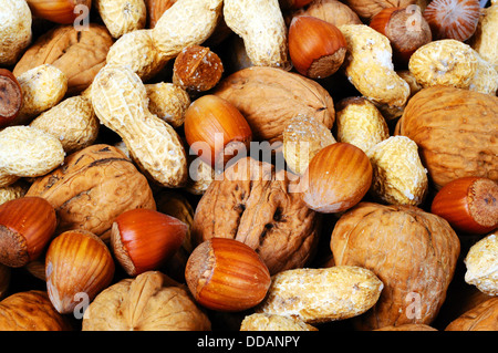 I dadi misti nei loro gusci (Monkey dadi, le noci e le nocciole). Foto Stock