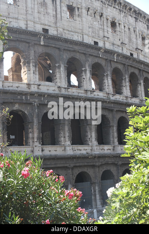 Gli archi del Colosseo tra piante fiorite di oleandri in Roma 2 Foto Stock