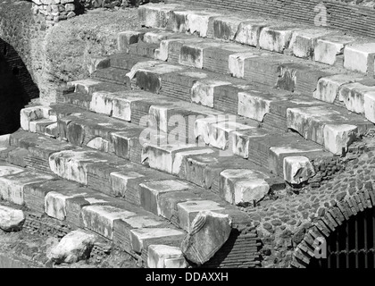 Suggestivi passi il Colosseo dove gli antichi romani erano presenti nei combattimenti tra gladiatori e bestie feroci 5 Foto Stock