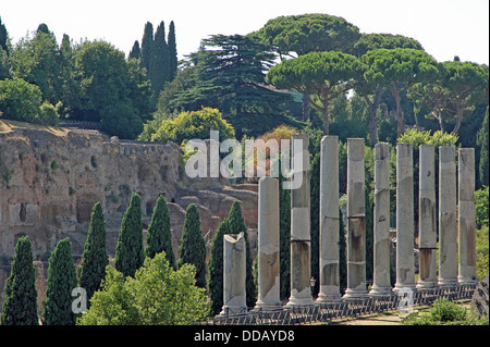 Antiche colonne del tempio romano nel I Fori Imperiali vicino al Colosseo a Roma 2 Foto Stock