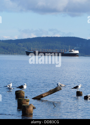 Nave, pali e gabbiani sul lago Foto Stock