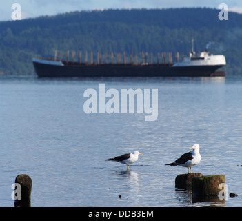 Nave, pali e gabbiani sul lago Foto Stock