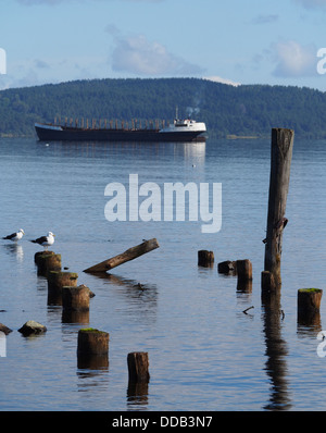 Nave, pali e gabbiani sul lago Foto Stock