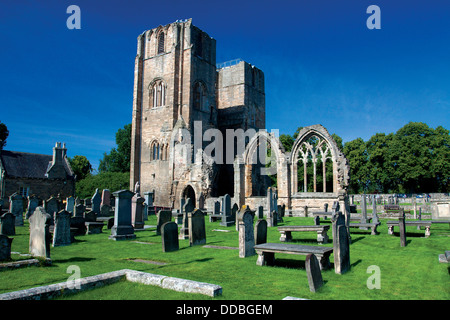 Elgin Cathedral, Elgin, Moray Foto Stock