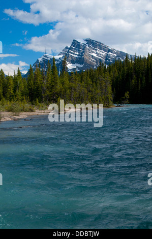 Montare Patterson con Mistaya Fiume, Parco Nazionale di Banff, Alberta, Canada Foto Stock