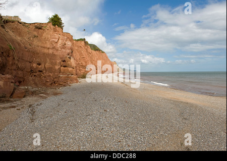 Sbriciolare in arenaria rossa scogliere Est a Sidmouth che sono gravemente erose dal mare Foto Stock